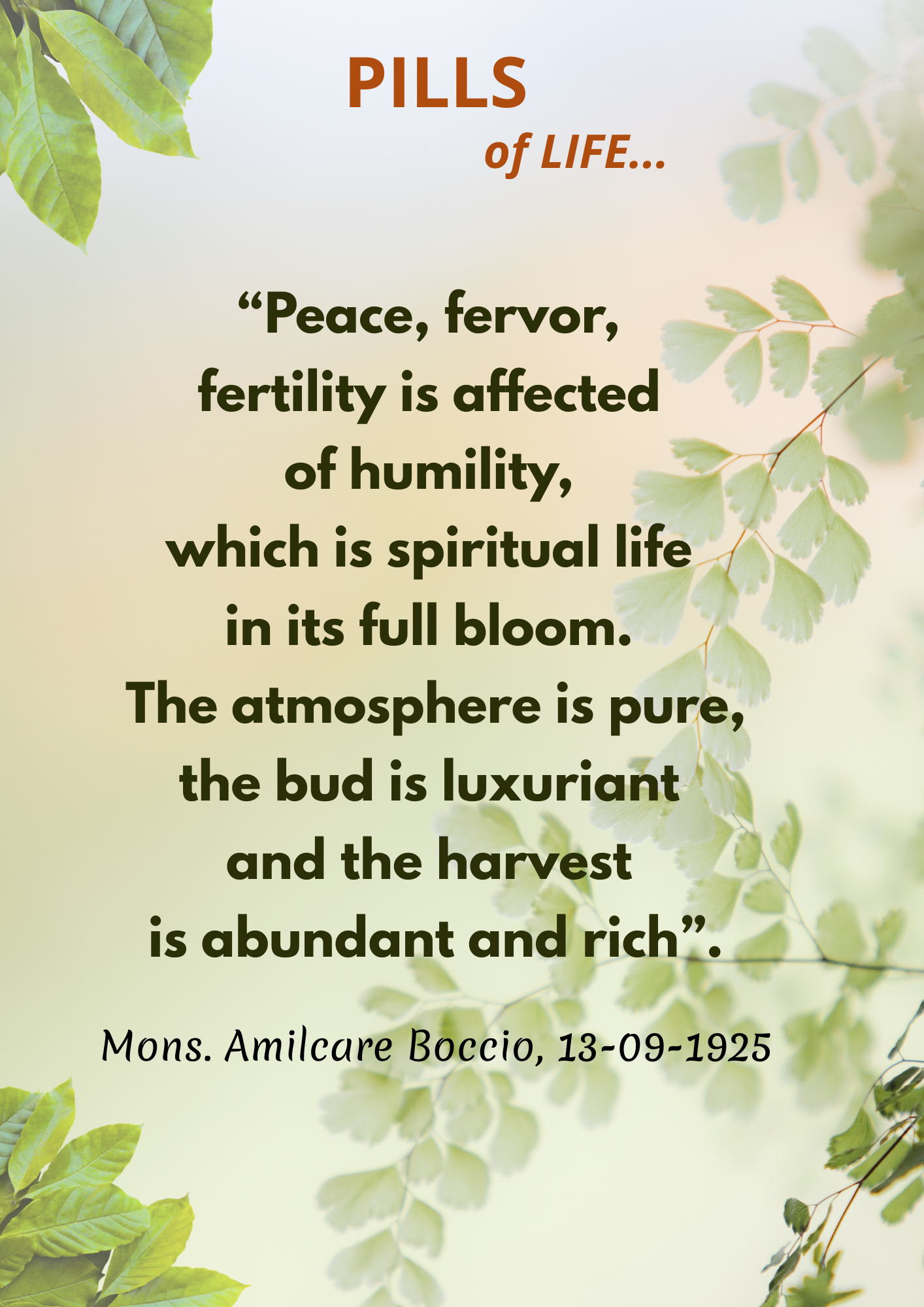 Piccole Figlie del Sacro Cuore di Ges&ugrave;